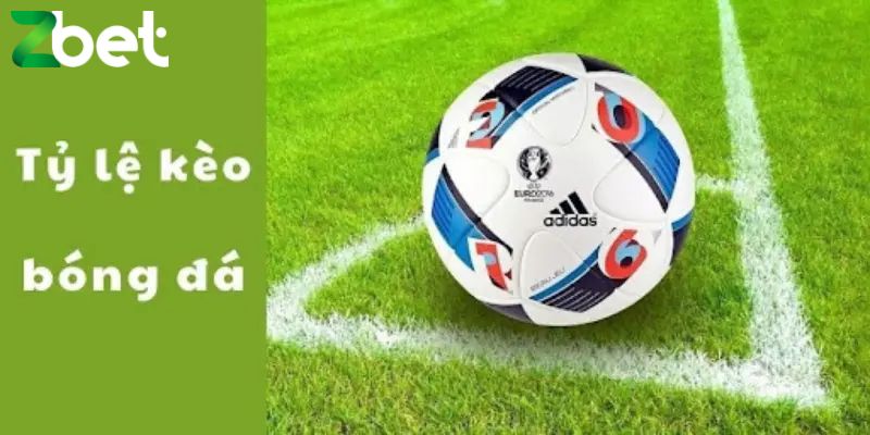 Mẹo giúp anh em đặt cược tỷ lệ cá cược hiệu quả