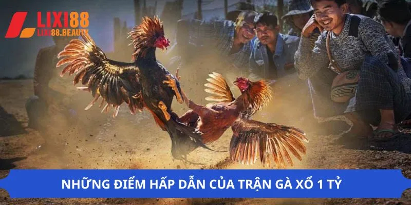 Vài nét về trận gà xổ 1 tỷ hiện nay