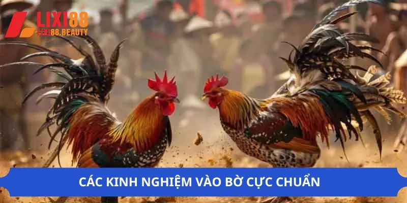 Những kinh nghiệm nên bỏ túi