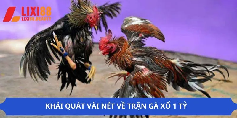 Một vài điểm hấp dẫn